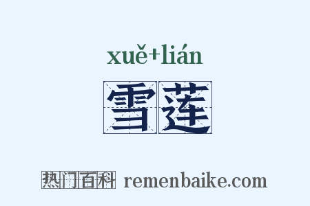 雪莲是什么意思的图片